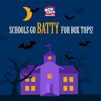 batty for boxtops